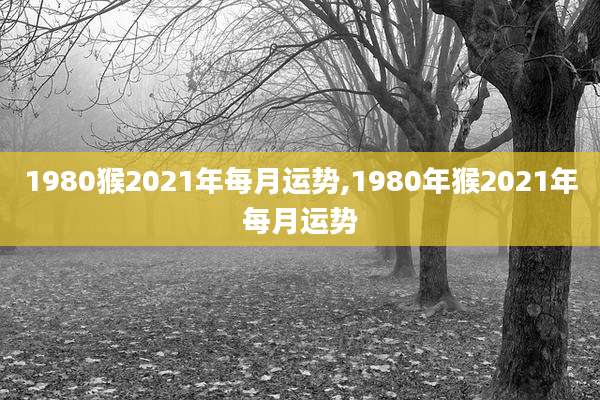 1980猴2021年每月运势,1980年猴2021年每月运势