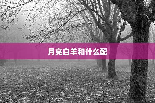 月亮白羊和什么配