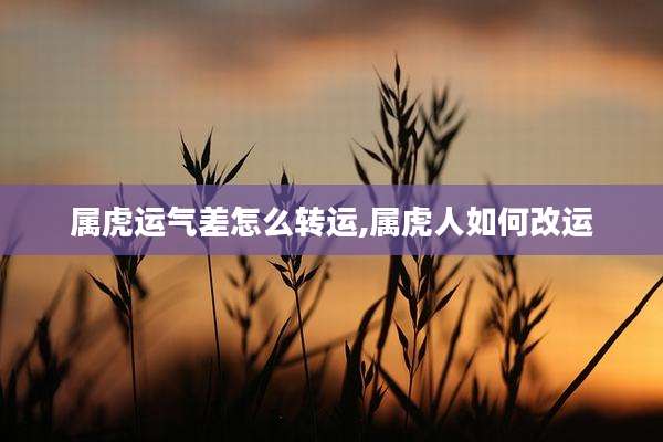 属虎运气差怎么转运,属虎人如何改运
