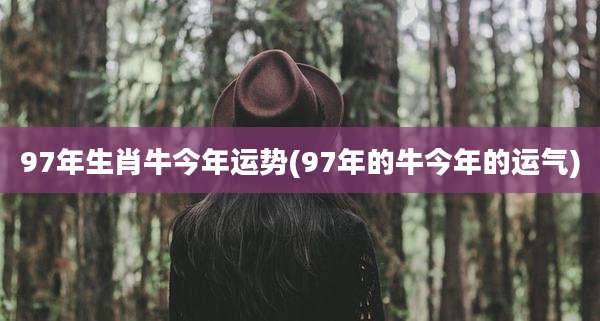 97年生肖牛今年运势(97年的牛今年的运气)