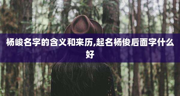 杨峻名字的含义和来历,起名杨俊后面字什么好