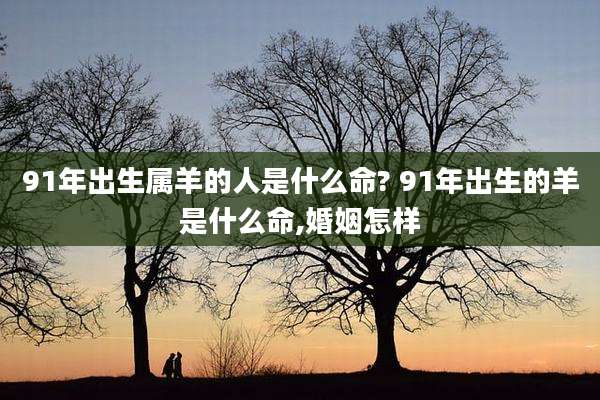 91年出生属羊的人是什么命? 91年出生的羊是什么命,婚姻怎样