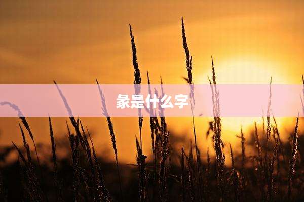 彖是什么字