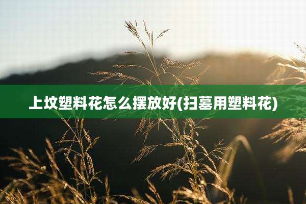 上坟塑料花怎么摆放好(扫墓用塑料花)