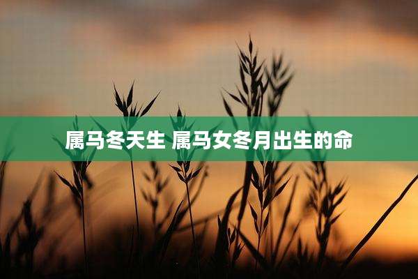 属马冬天生 属马女冬月出生的命