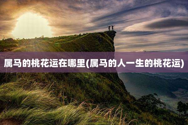 属马的桃花运在哪里(属马的人一生的桃花运)