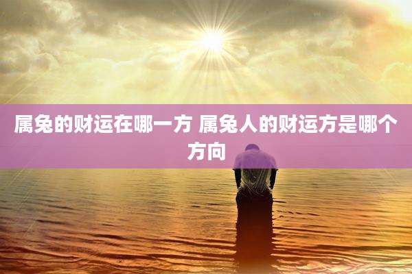 属兔的财运在哪一方 属兔人的财运方是哪个方向