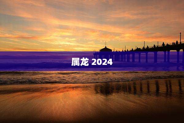 属龙 2024