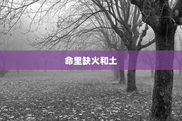命里缺火和土