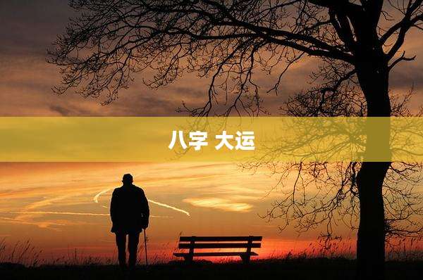 八字 大运