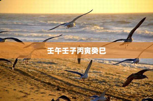 壬午壬子丙寅癸巳