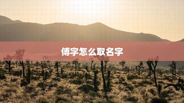 傅字怎么取名字