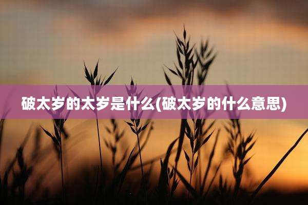 破太岁的太岁是什么(破太岁的什么意思)