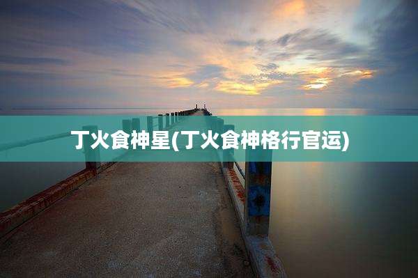 丁火食神星(丁火食神格行官运)