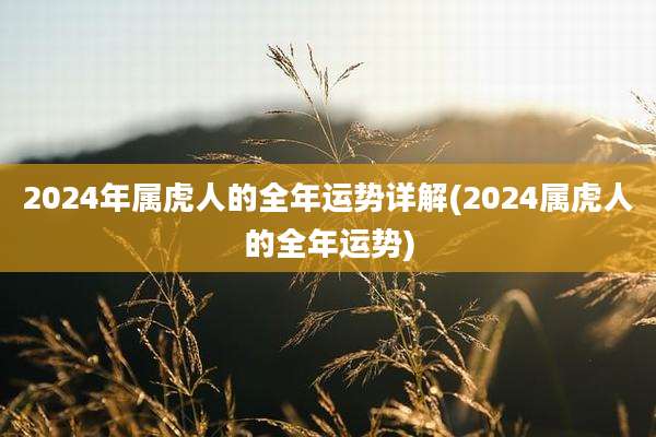 2024年属虎人的全年运势详解(2024属虎人的全年运势)