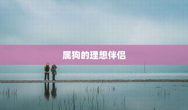 属狗的理想伴侣