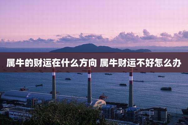 属牛的财运在什么方向 属牛财运不好怎么办