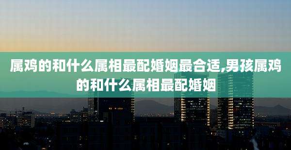 属鸡的和什么属相最配婚姻最合适,男孩属鸡的和什么属相最配婚姻
