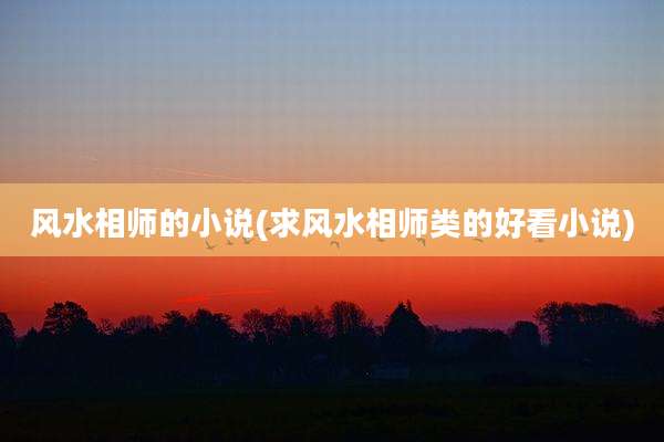 风水相师的小说(求风水相师类的好看小说)