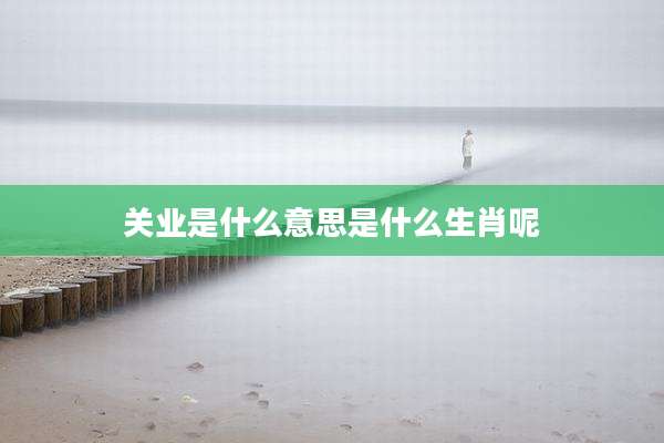 关业是什么意思是什么生肖呢