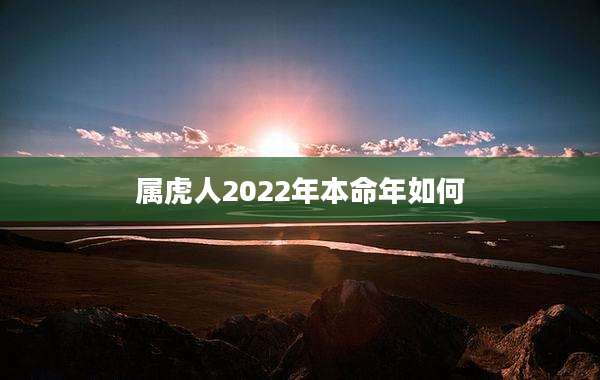 属虎人2022年本命年如何