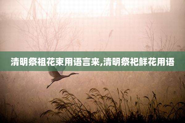 清明祭祖花束用语言来,清明祭祀鲜花用语