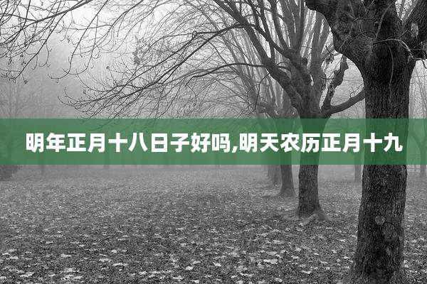 明年正月十八日子好吗,明天农历正月十九