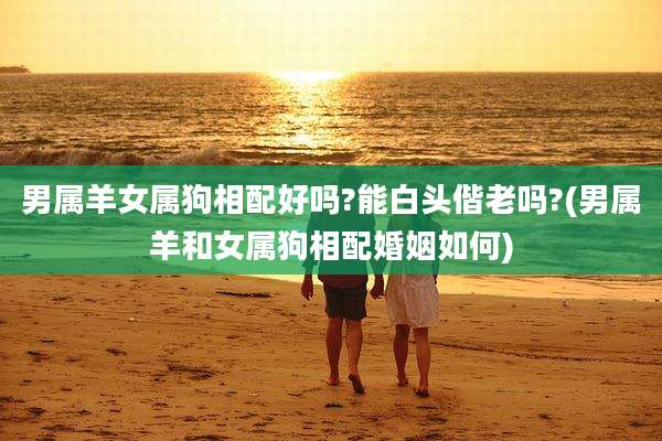 男属羊女属狗相配好吗?能白头偕老吗?(男属羊和女属狗相配婚姻如何)