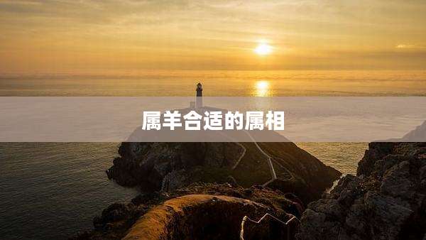 属羊合适的属相