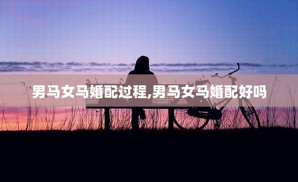 男马女马婚配过程,男马女马婚配好吗