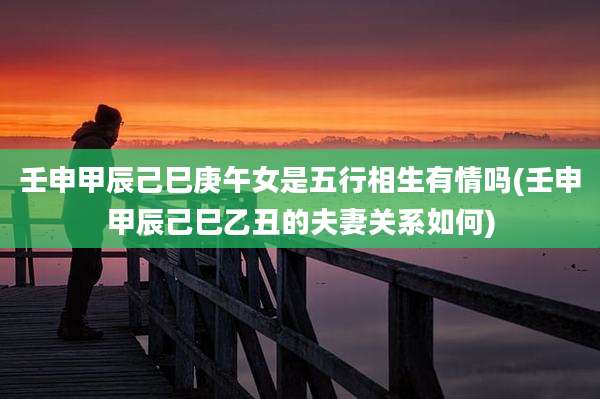 壬申甲辰己巳庚午女是五行相生有情吗(壬申甲辰己巳乙丑的夫妻关系如何)