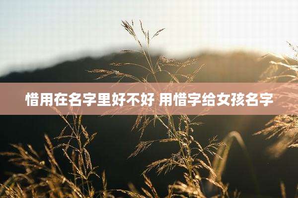 惜用在名字里好不好 用惜字给女孩名字