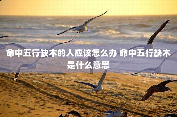 命中五行缺木的人应该怎么办 命中五行缺木是什么意思
