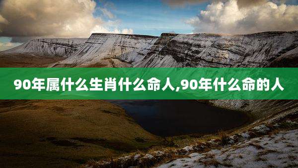 90年属什么生肖什么命人,90年什么命的人