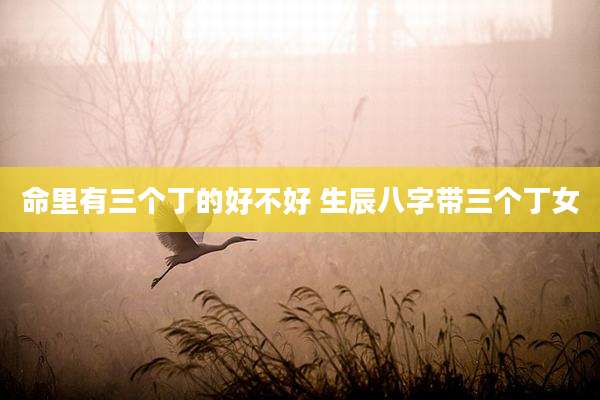 命里有三个丁的好不好 生辰八字带三个丁女