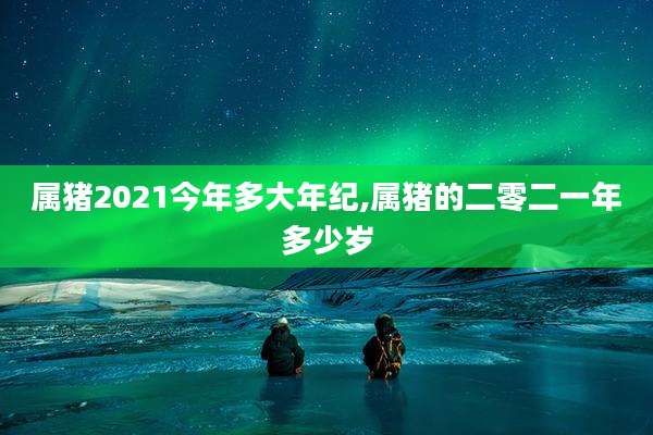 属猪2021今年多大年纪,属猪的二零二一年多少岁
