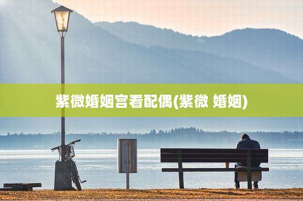 紫微婚姻宫看配偶(紫微 婚姻)