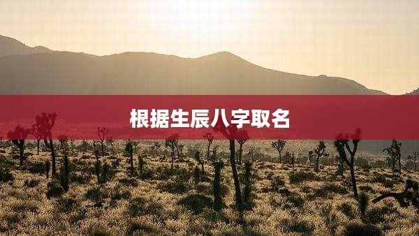 根据生辰八字取名