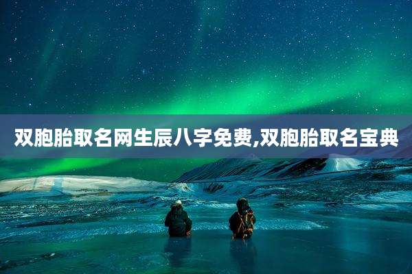 双胞胎取名网生辰八字免费,双胞胎取名宝典