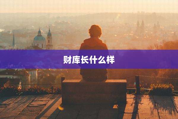 财库长什么样
