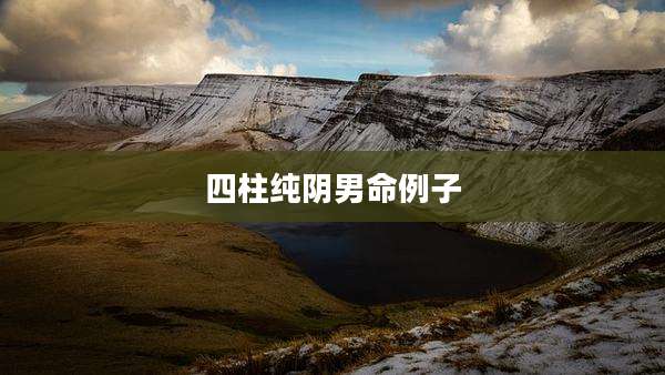 四柱纯阴男命例子