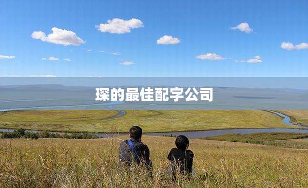 琛的最佳配字公司