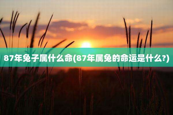 87年兔子属什么命(87年属兔的命运是什么?)
