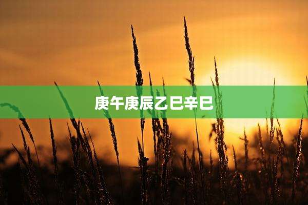 庚午庚辰乙巳辛巳