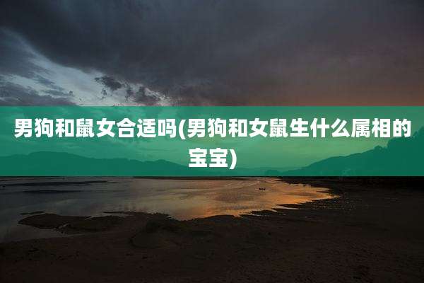 男狗和鼠女合适吗(男狗和女鼠生什么属相的宝宝)