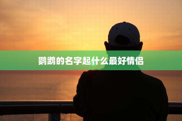 鹦鹉的名字起什么最好情侣