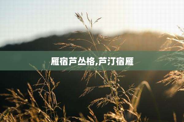 雁宿芦丛格,芦汀宿雁