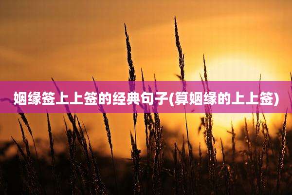 姻缘签上上签的经典句子(算姻缘的上上签)