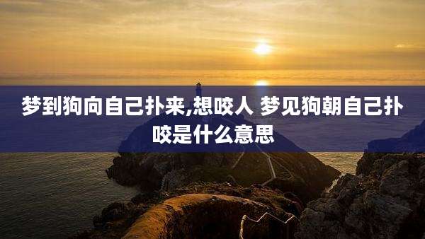 梦到狗向自己扑来,想咬人 梦见狗朝自己扑咬是什么意思