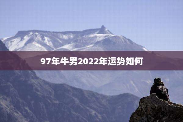 97年牛男2022年运势如何